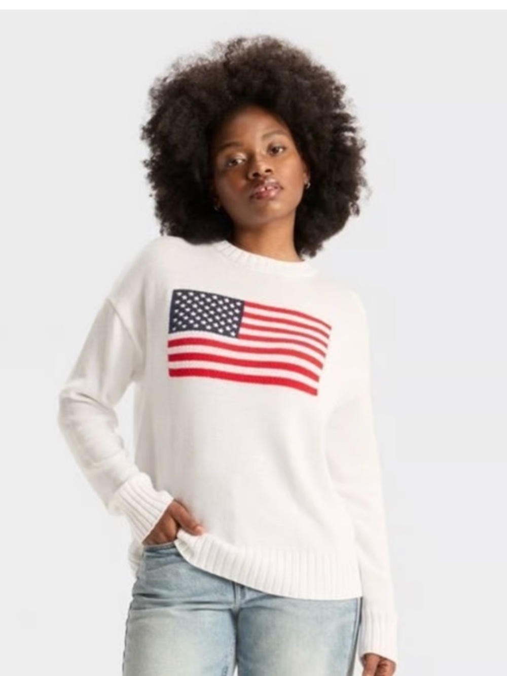 target wild fable American flag sweater